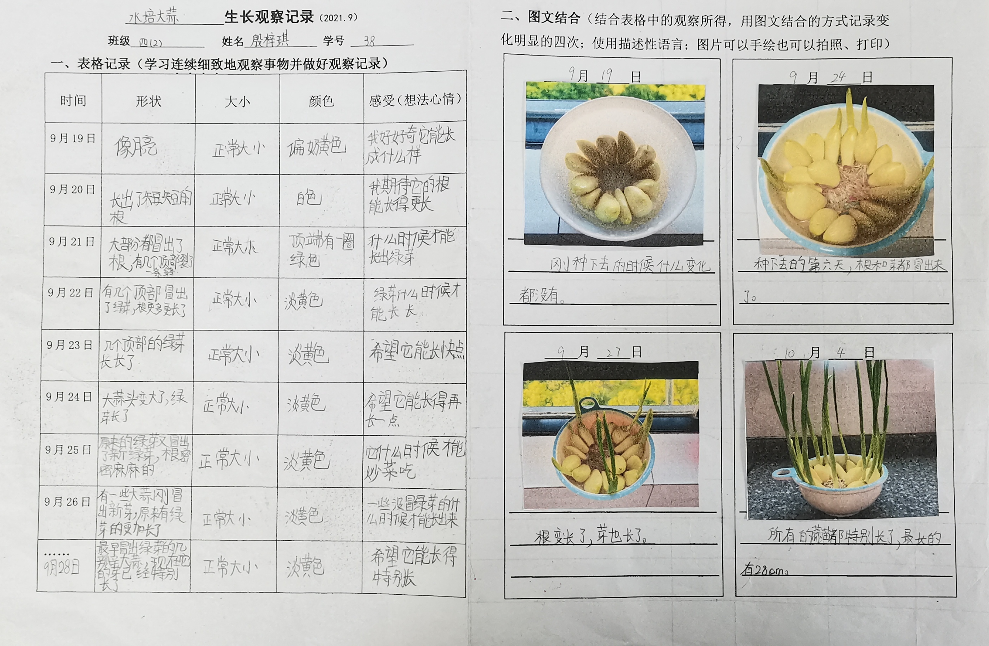 b66de6a9-508b-49fb-8b42-8ff84a99e374.jpg