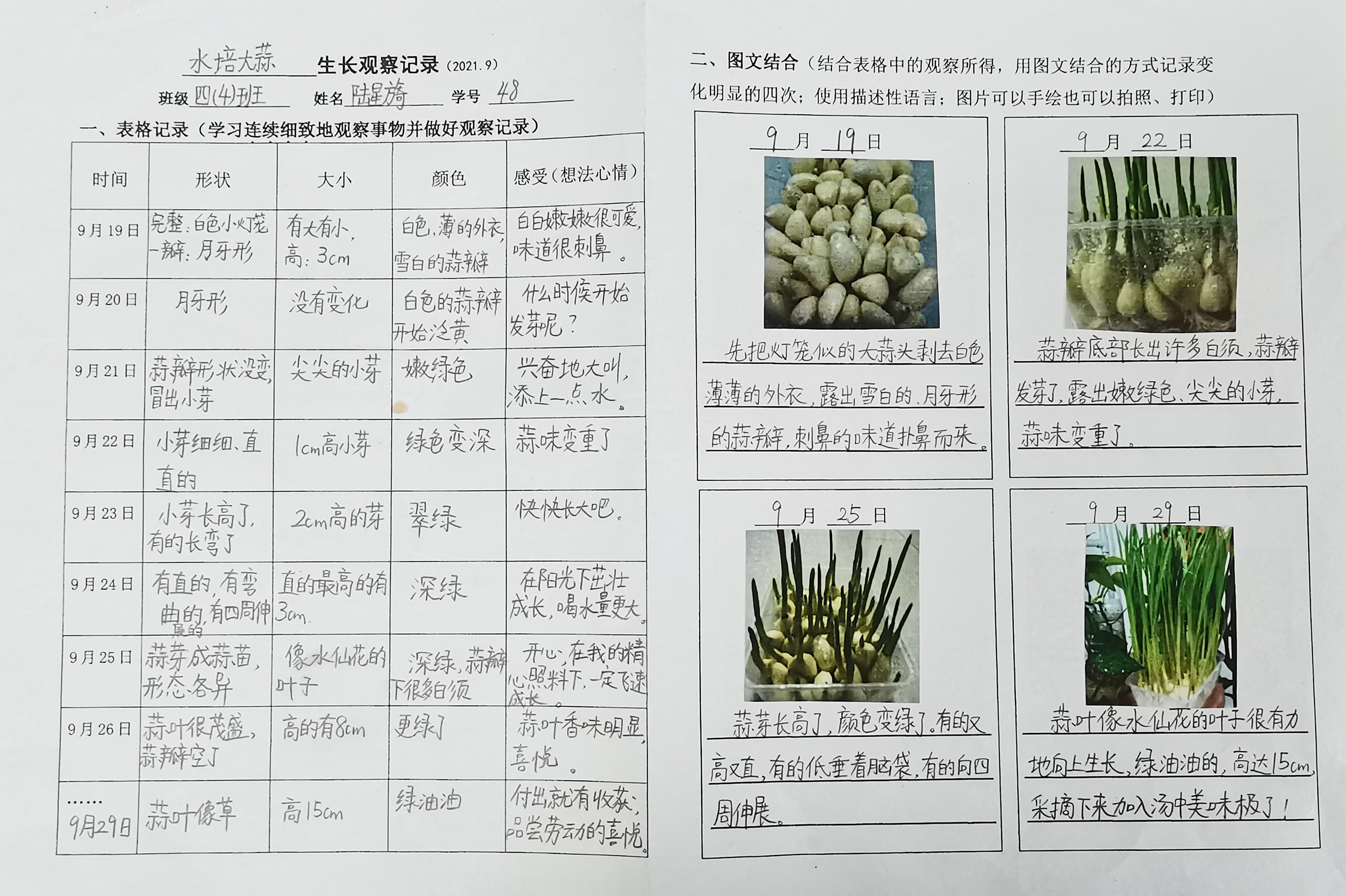 d132dd4e-7a1f-498a-af40-565269e31707.jpg