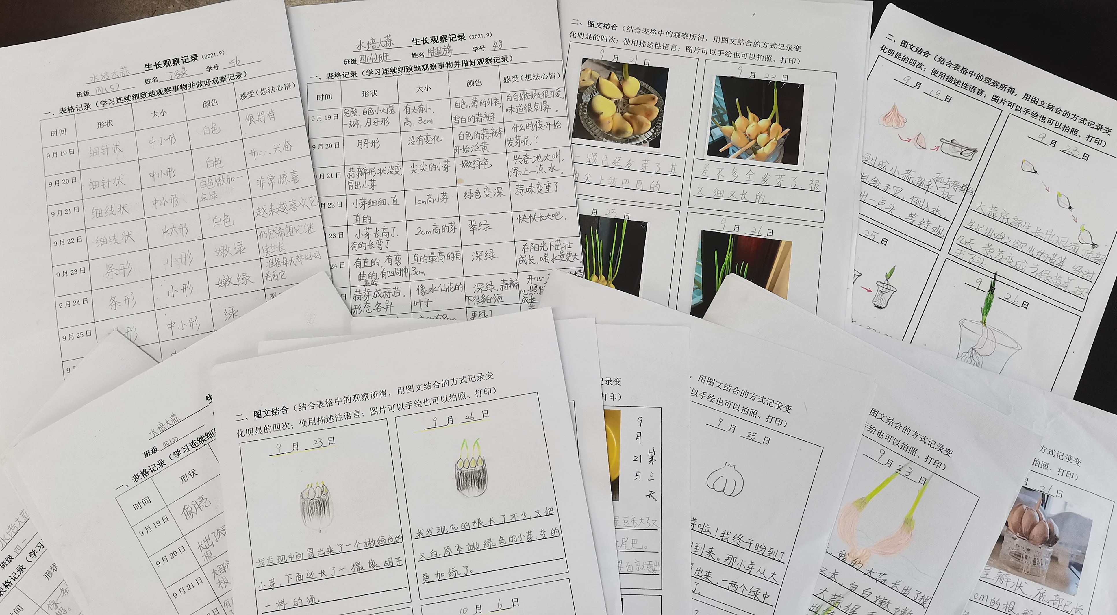 d9760b77-fc2a-4ae7-8b1b-cd4421a8aeee.jpg