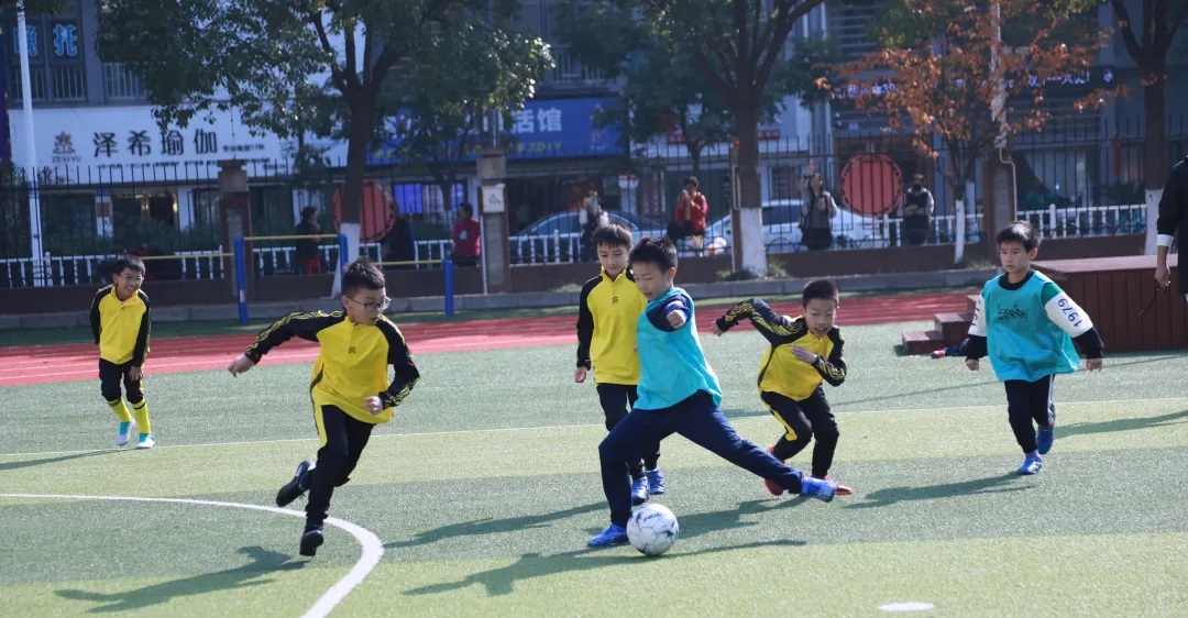 14011b51-6ac4-4cdc-927a-c5ab3d363bda.jpg