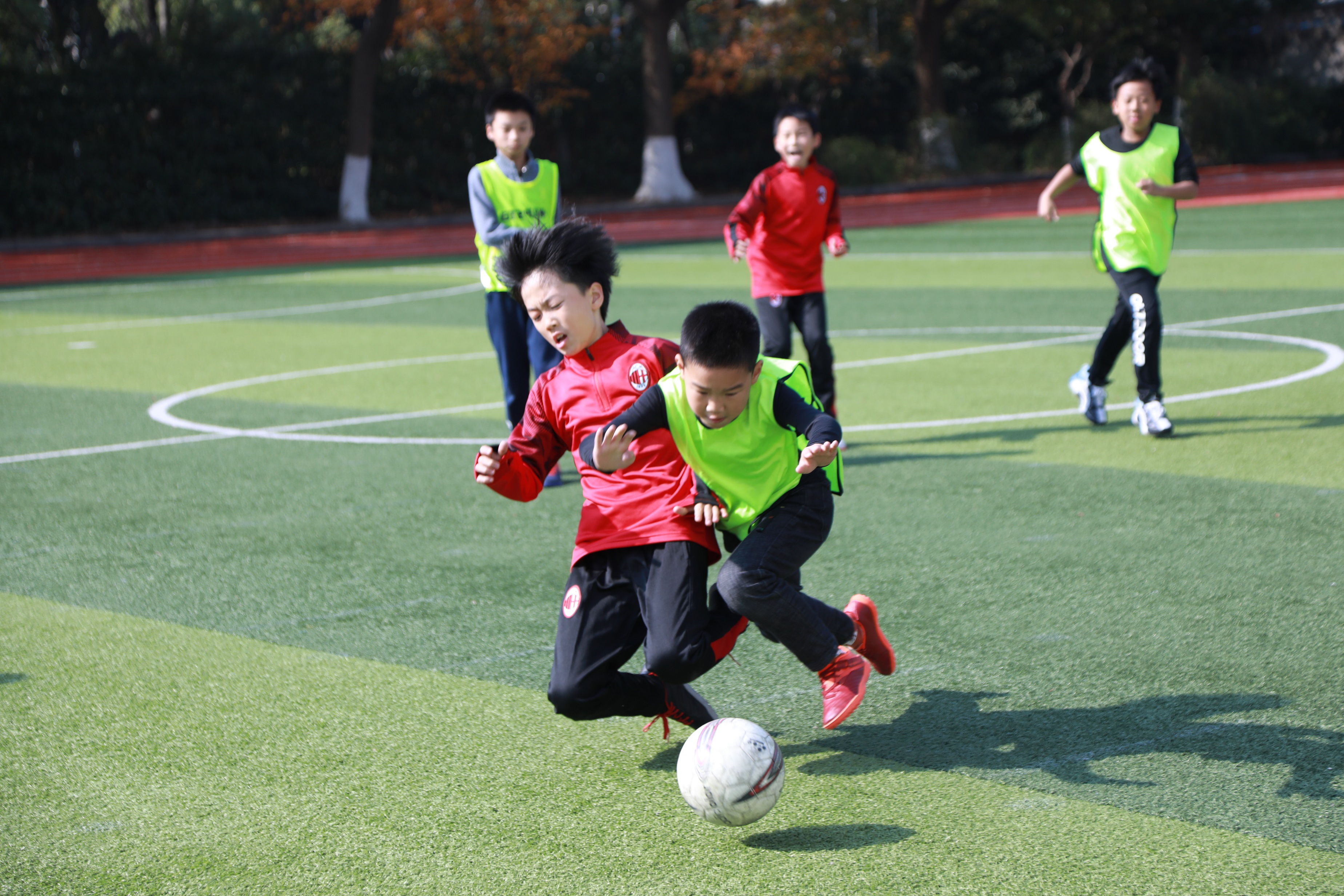 a8a1c80f-6544-4b1c-99ad-8ef4f2060178.jpg