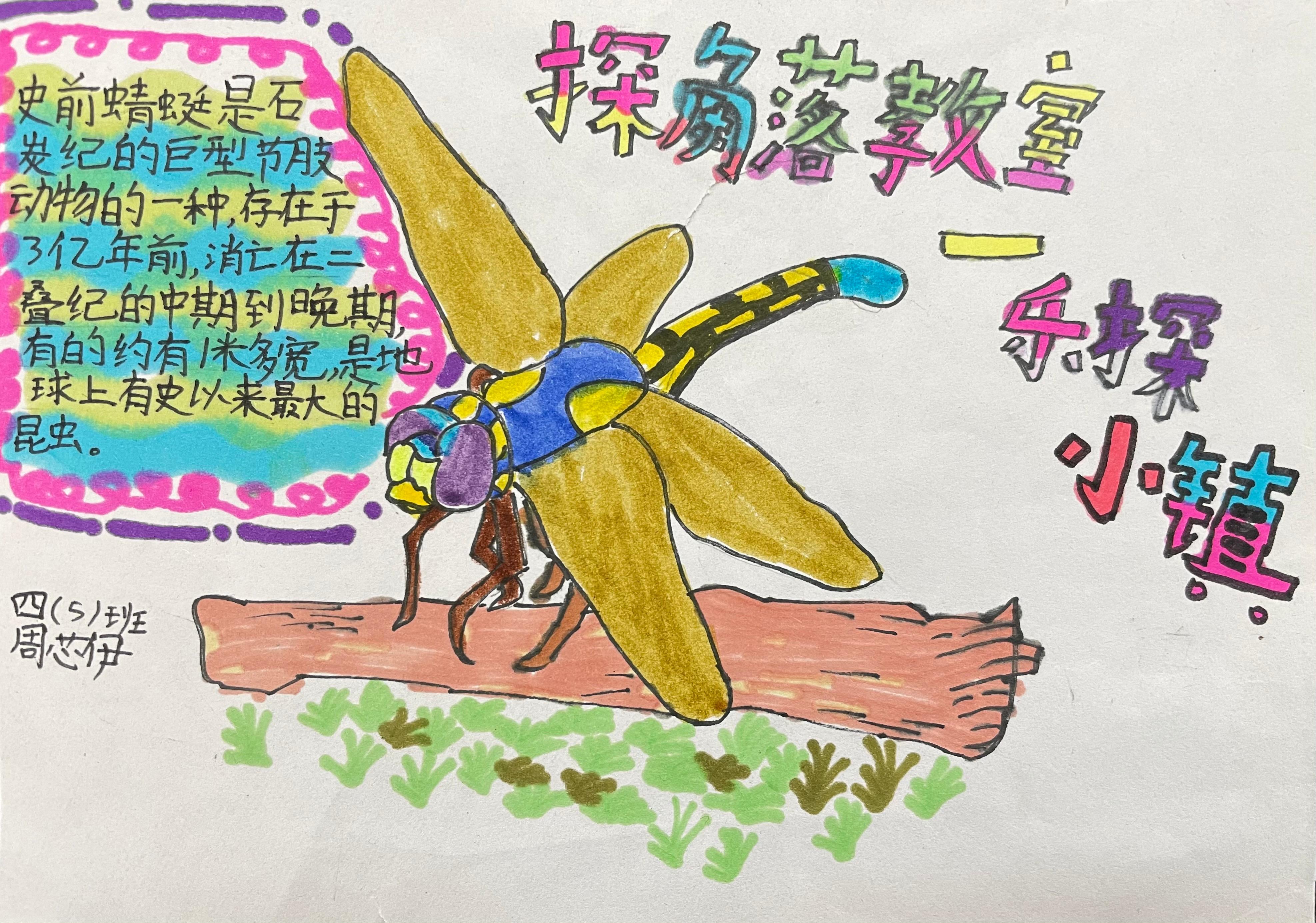 cb4a3467-08f6-43e4-ada8-849c54128854.jpg